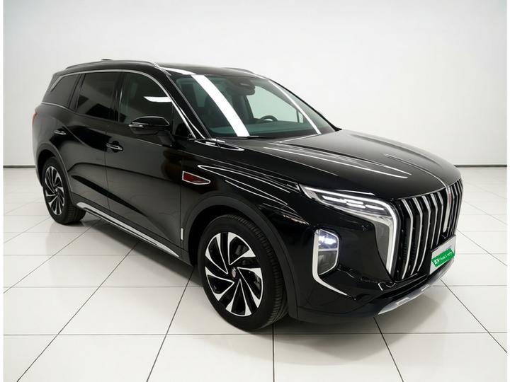 HS7 PHEV 2024 2.0T PHEV AWD 6-Seater photo 3