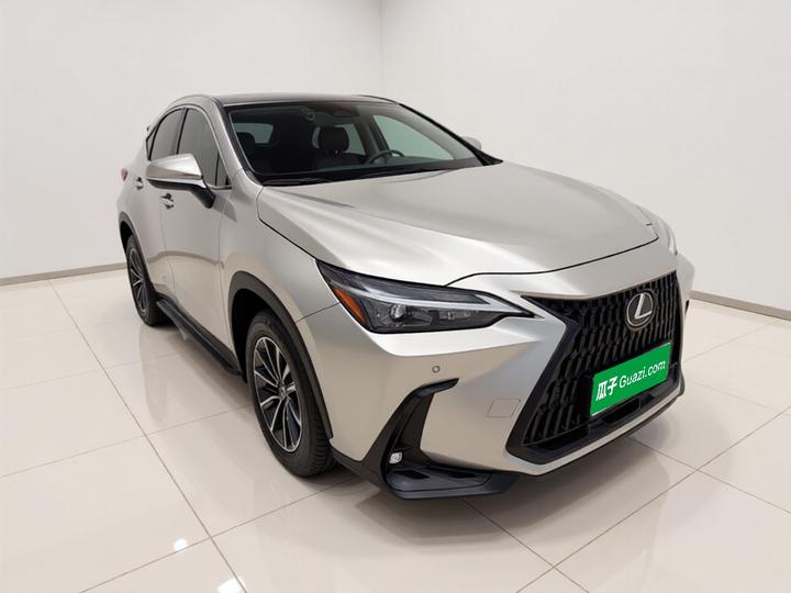 NX EV 2023 400h+ photo 3