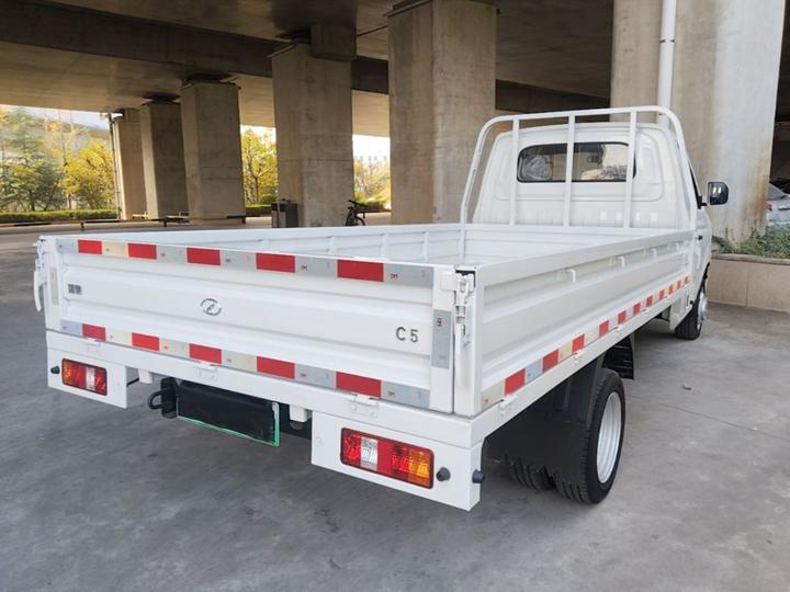 Ruichi C5 2025 EV Single Cab photo 6