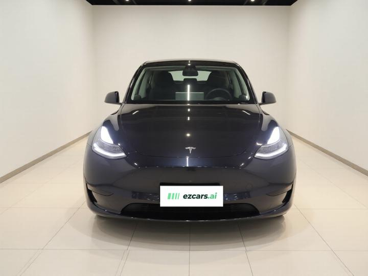 Model Y 2024 Long Range AWD photo 2