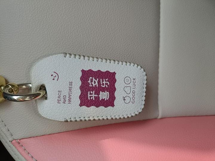 QQ Little Ant 2021 20 NCM 301km photo 8