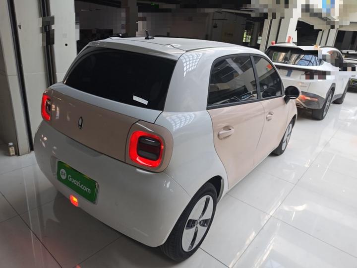 2022 Facelift 301km LFP photo 4