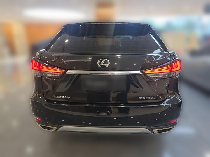 RX 2020 Facelift 300 RWD Elite photo 3