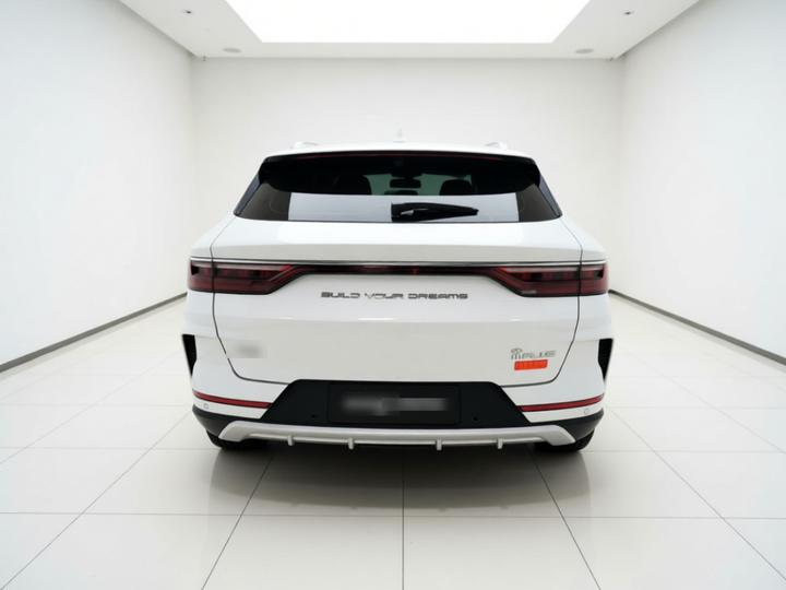 Song PLUS 2020 1.5T AT Luxury photo 5