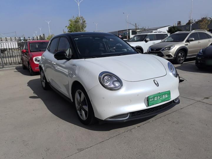 Good Cat 2021 400km Standard Range LFP photo 3