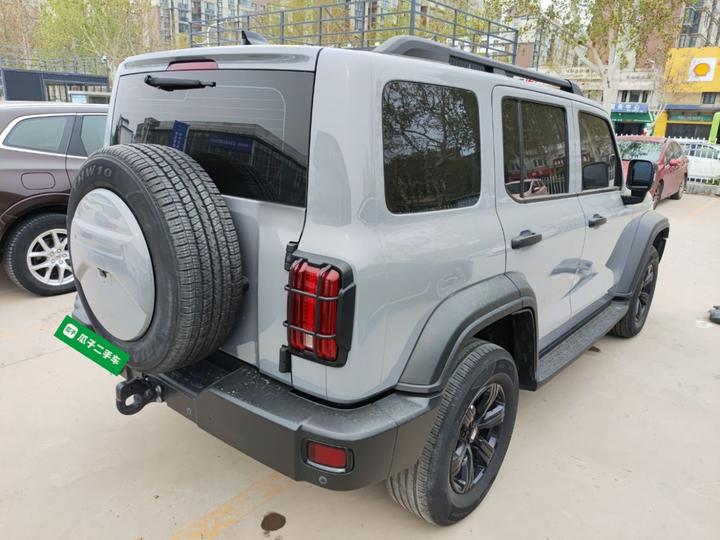 300 2021 Off-road 2.0T Conqueror photo 4