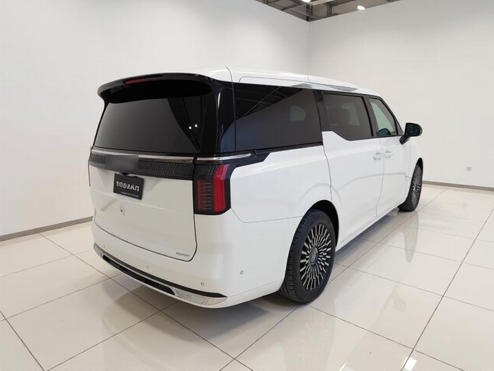 009 2024 6-Seater Executive AWD 108kWh photo 6