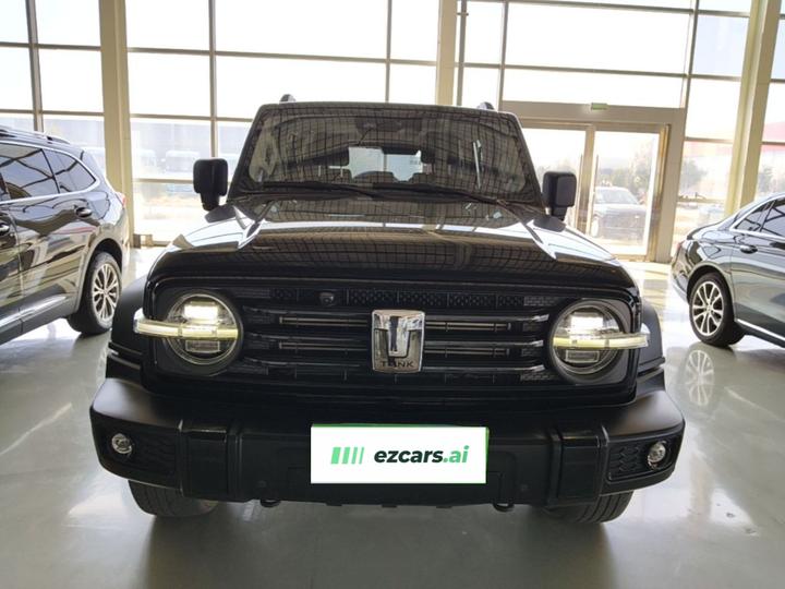 300 2023 Off-road 2.0T Conqueror photo 2