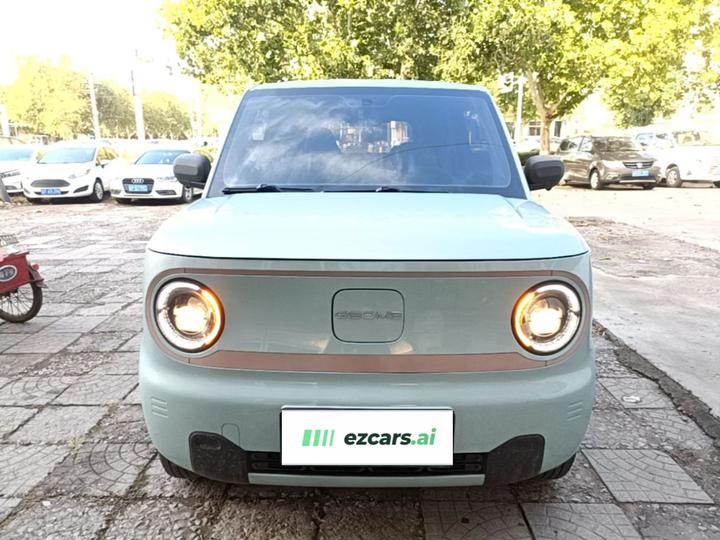 2024 Panda mini 200km Endurance Bear photo 2