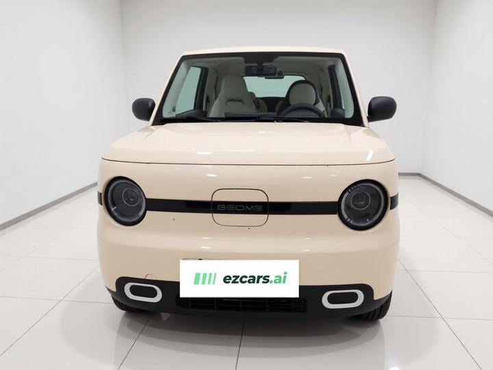 2025 Panda mini 210km Yuan photo 2