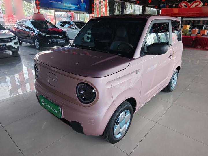 2024 Panda mini 200km Endurance Bear