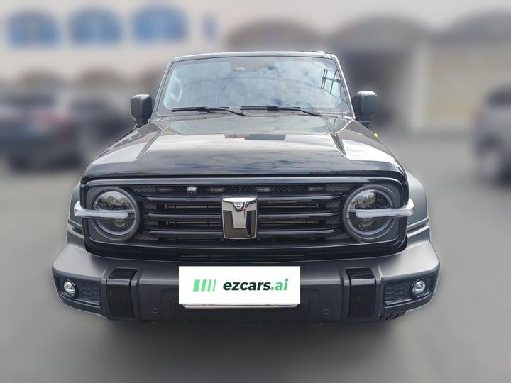300 2024 2.0T Conqueror photo 2