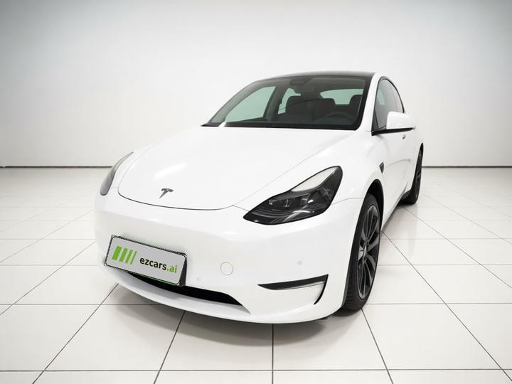 Model Y 2022 Performance AWD