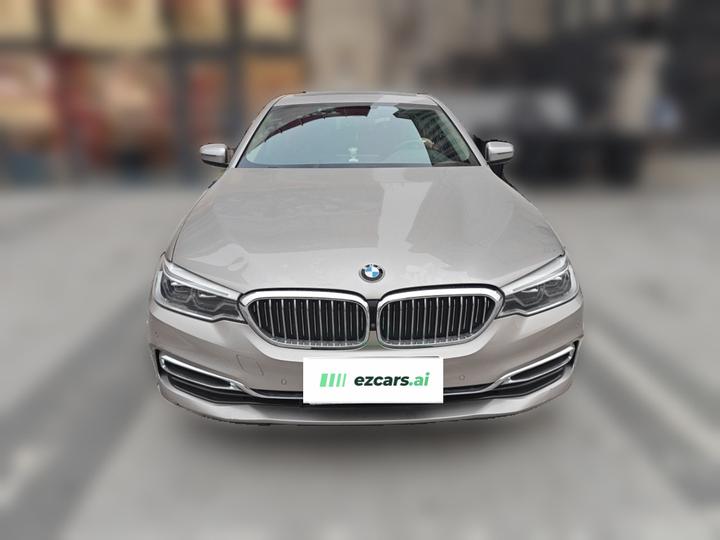 5 Series 2020 530Li Exclusive Luxury photo 2