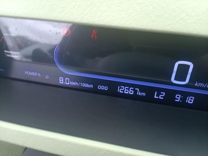 2023 Panda mini 200km Endurance Bear photo 3