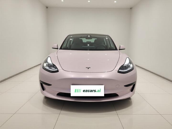 Model 3 2022 RWD photo 2