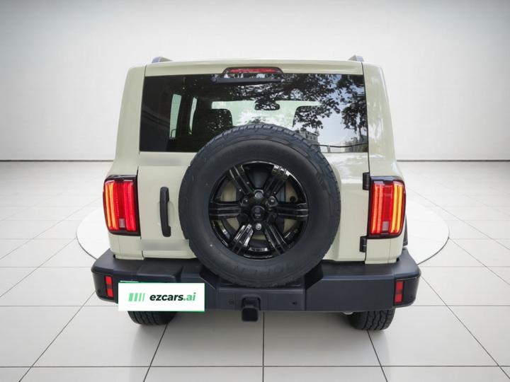 300 2025 2.0T Petrol Conqueror photo 5