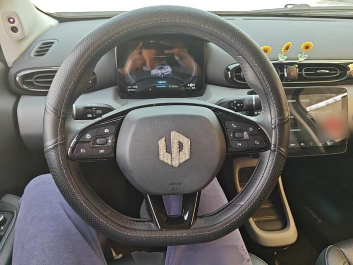 Leapmotor T03 2020 400 Luxury photo 6