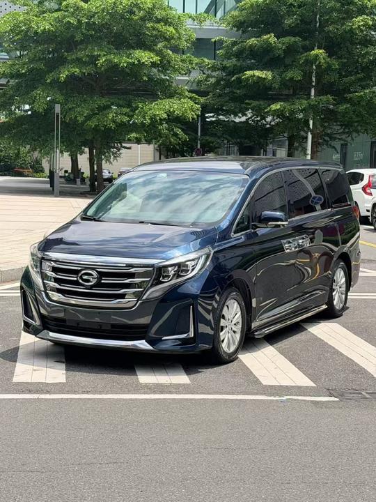 GAC Trumpchi M8 2020 Pilot 390T Exclusive