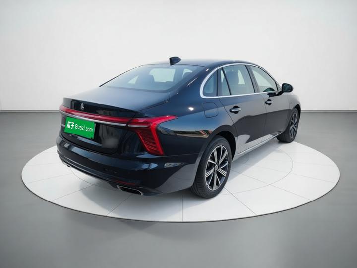 H5 PHEV 2025 130 photo 4