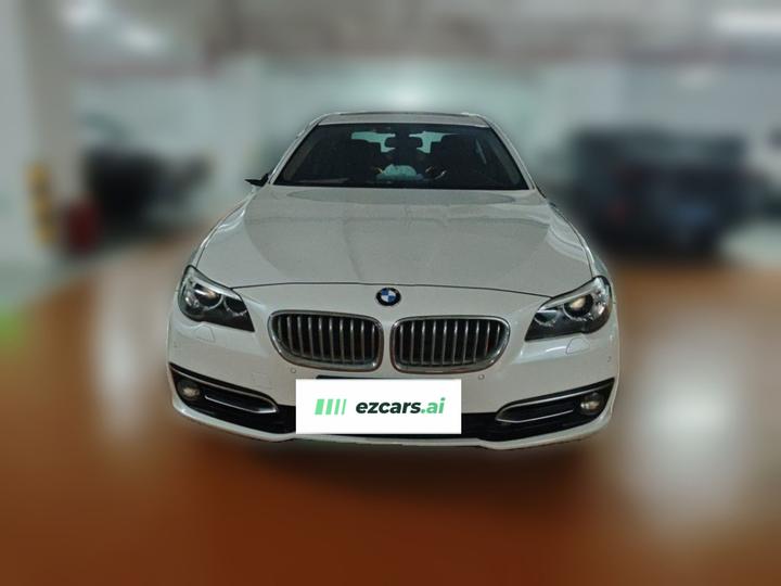 5 Series 2013 525Li photo 2