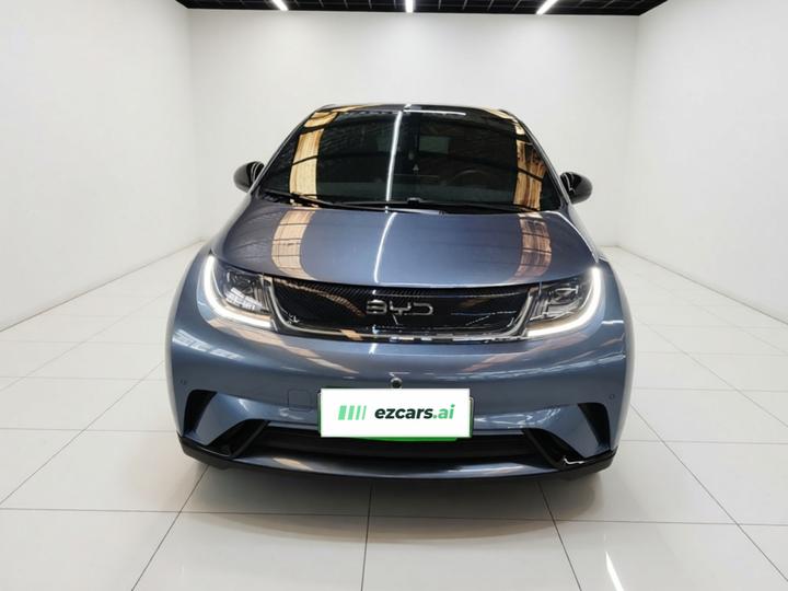 Dolphin 2024 Honor 420km Fashion photo 2