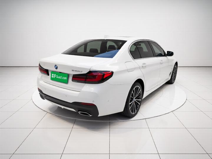 5 Series 2023 530Li Leading M Sport Package photo 6