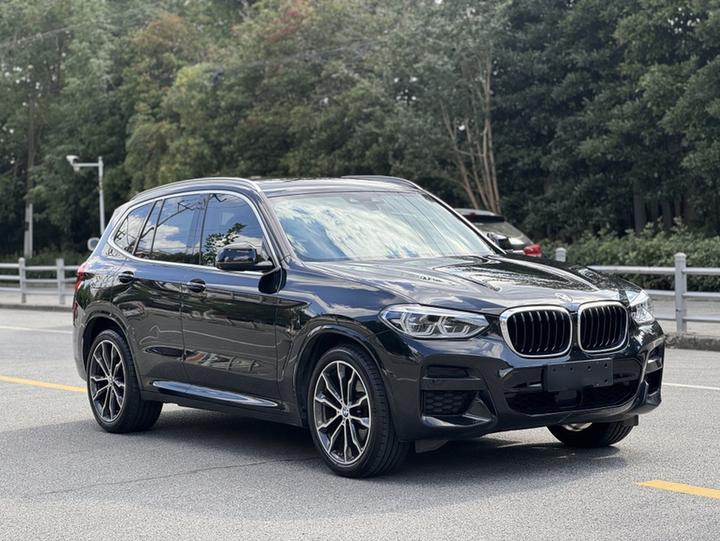 X3 2020 xDrive30i Leading M Sport Package photo 3
