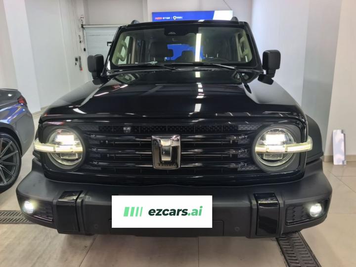 300 2023 Off-road 2.0T Conqueror photo 2