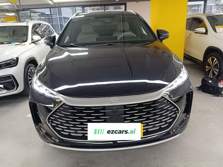 Tang EV 2025 ADAS DM-i 115KM Noble photo 2