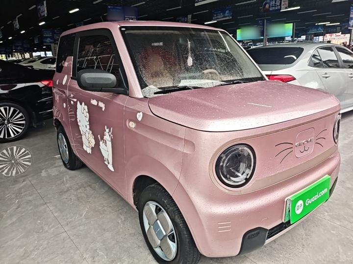 2023 Panda mini 200km Endurance Bear photo 3