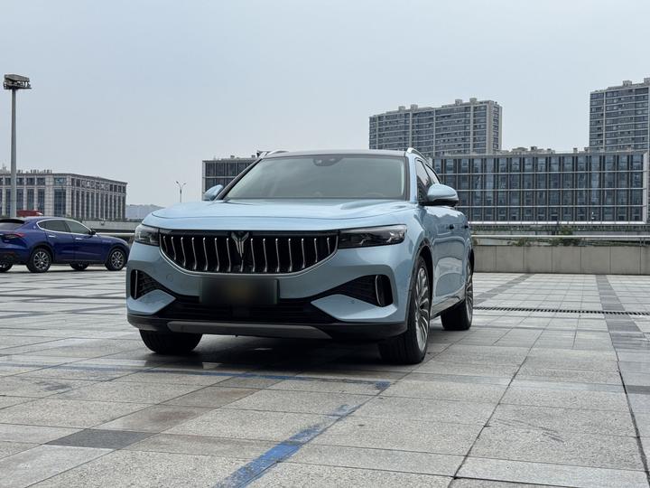 Voyah FREE 2021 AWD Standard EREV Luxury