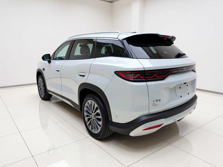 Song Ultra EV 2026 EV 710KM photo 4