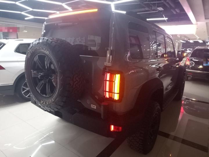 300 2021 Off-road 2.0T Conqueror photo 6