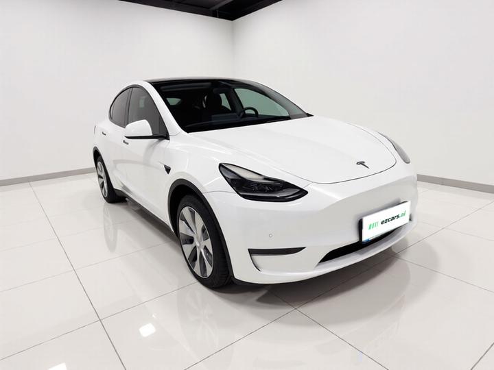Model Y 2021 Long Range AWD 3D7 photo 3
