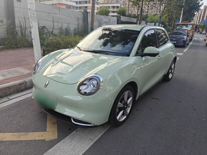 Good Cat 2023 501km Long Range Luxury LFP