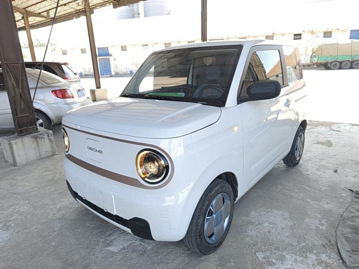 2023 Panda mini 200km Endurance Bear