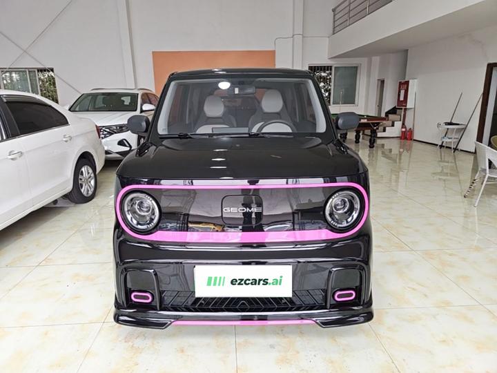 2025 210km Panda photo 2