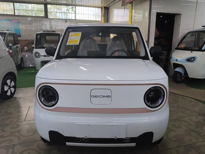 2024 Panda mini 200km Endurance Bear photo 2