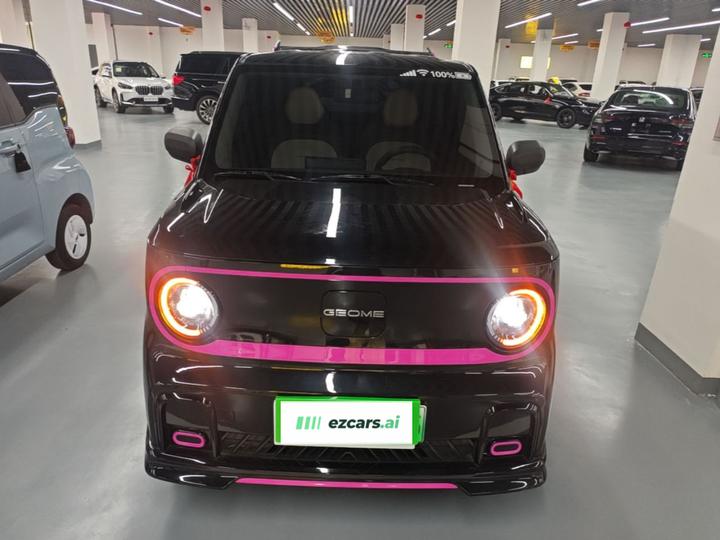 2025 210km Panda photo 2