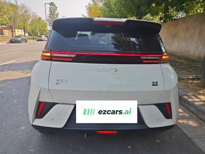 Seagull 2025 ADAS 305km photo 3