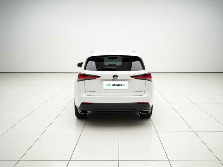 NX 2018 300 FWD photo 4