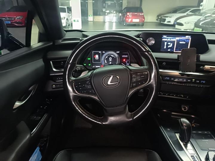 UX EV 2020 300e photo 6