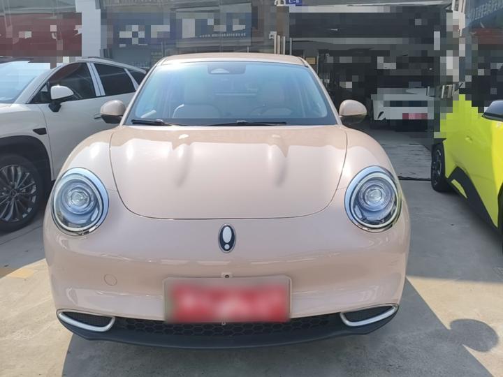 Good Cat 2023 401km Standard Range Luxury LFP photo 2