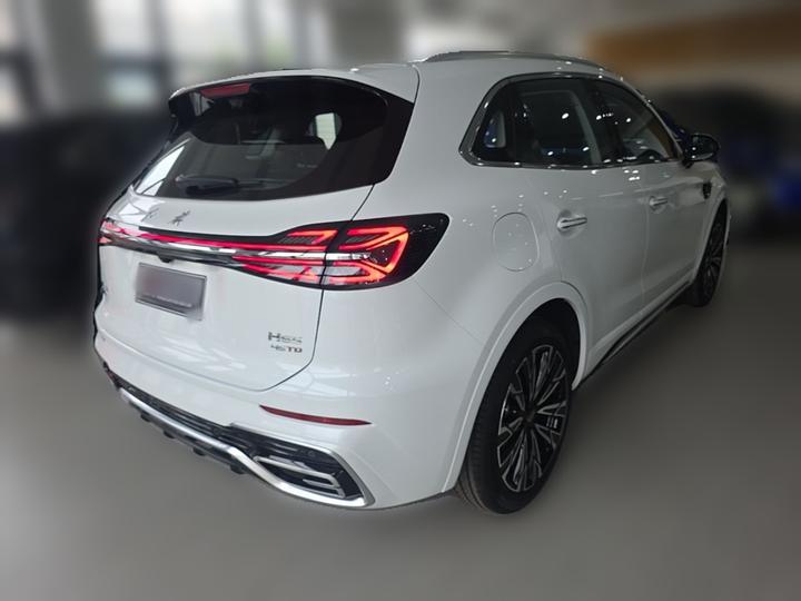 HS5 2023 2.0T AWD Pro photo 6