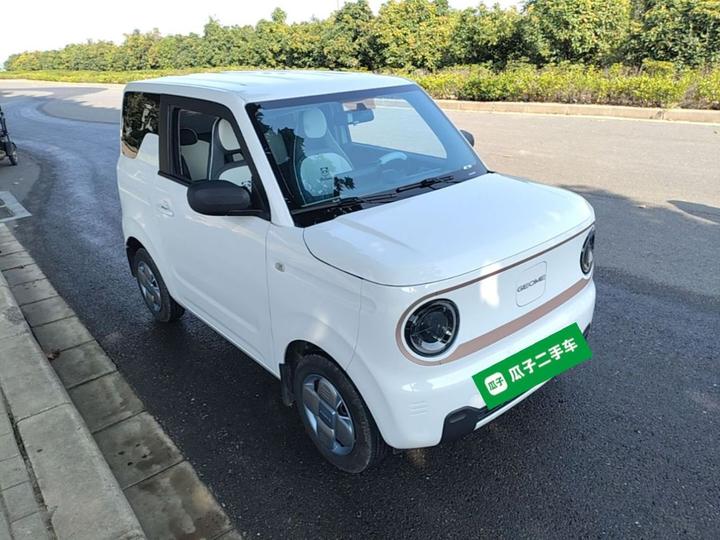 2024 Panda mini 200km Endurance Bear photo 3