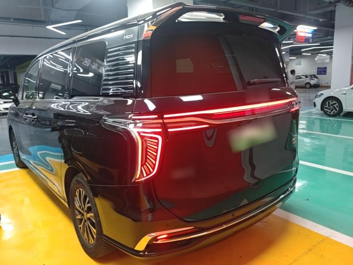 HQ9 PHEV 2024 2.0T AWD Luxury photo 3