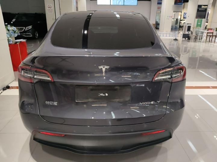 Model Y 2021 Long Range AWD photo 3