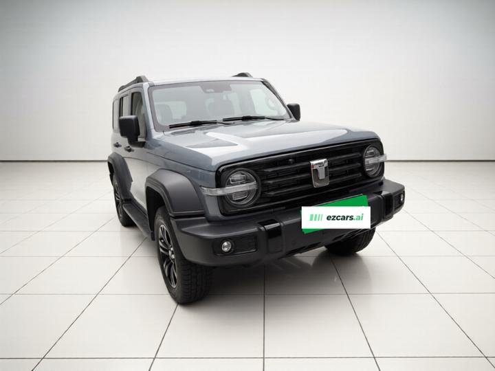 300 2024 2.0T Conqueror photo 3