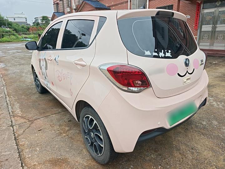 Benni E-Star 2021 LFP 31.95kWh photo 4